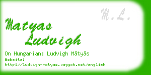 matyas ludvigh business card